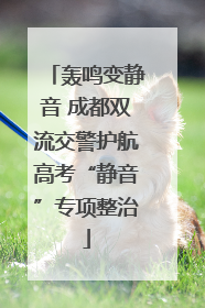 轰鸣变静音 成都双流交警护航高考“静音”专项整治
