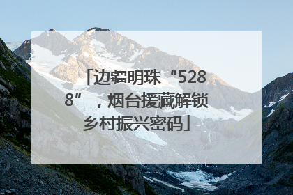 边疆明珠“5288”，烟台援藏解锁乡村振兴密码