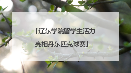 辽东学院留学生活力亮相丹东匹克球赛