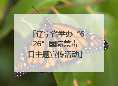 辽宁省举办“6·26”国际禁毒日主题宣传活动