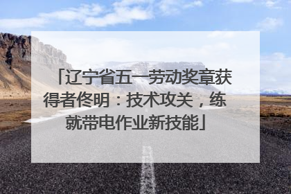 辽宁省五一劳动奖章获得者佟明：技术攻关，练就带电作业新技能