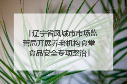 辽宁省凤城市市场监管局开展养老机构食堂食品安全专项整治