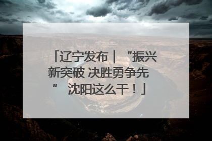 辽宁发布｜“振兴新突破 决胜勇争先” 沈阳这么干！