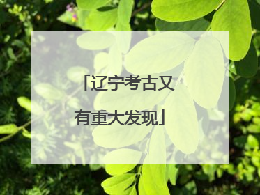 辽宁考古又有重大发现