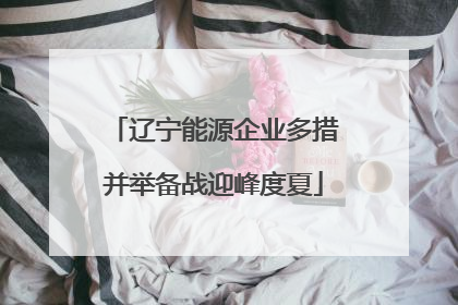 辽宁能源企业多措并举备战迎峰度夏