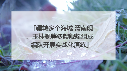 辗转多个海域 渭南舰、玉林舰等多艘舰艇组成编队开展实战化演练