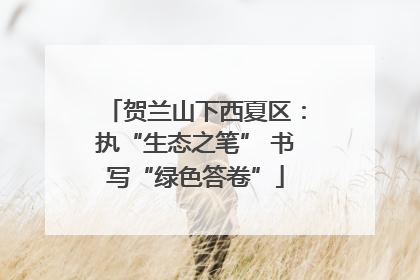贺兰山下西夏区：执“生态之笔” 书写“绿色答卷”