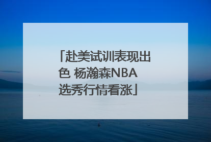 赴美试训表现出色 杨瀚森NBA选秀行情看涨