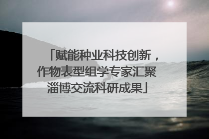 赋能种业科技创新，作物表型组学专家汇聚淄博交流科研成果