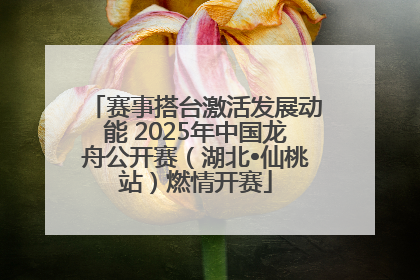 赛事搭台激活发展动能 2025年中国龙舟公开赛（湖北•仙桃站）燃情开赛