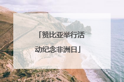 赞比亚举行活动纪念非洲日
