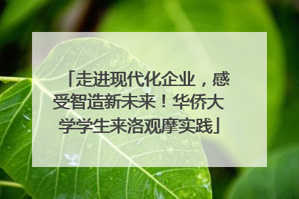 走进现代化企业，感受智造新未来！华侨大学学生来洛观摩实践