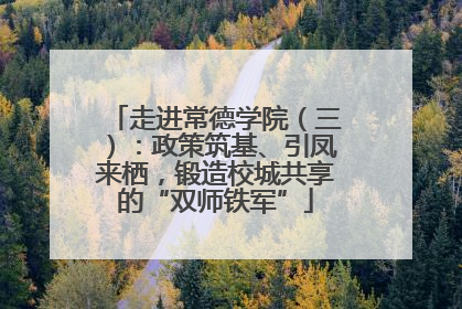 走进常德学院（三）：政策筑基、引凤来栖，锻造校城共享的“双师铁军”