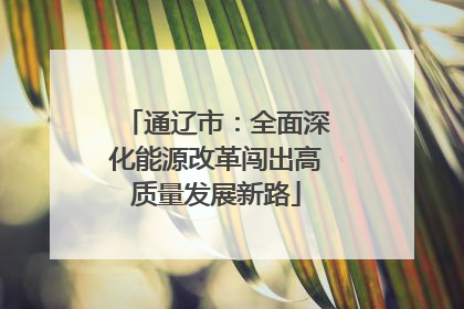 通辽市：全面深化能源改革闯出高质量发展新路