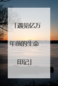 遇见亿万年前的生命印记