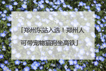 郑州东站入选！郑州人可带宠物猫狗坐高铁