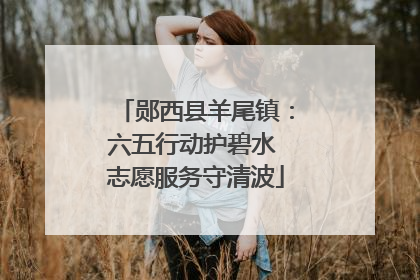 郧西县羊尾镇：六五行动护碧水 志愿服务守清波