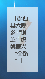 郧西县六郎乡“银茧”织就振兴“金路”