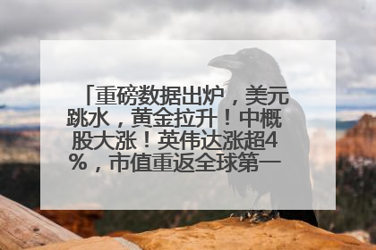 重磅数据出炉，美元跳水，黄金拉升！中概股大涨！英伟达涨超4%，市值重返全球第一！黄仁勋计划出售至多600万股股票