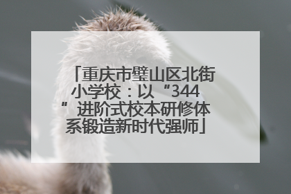 重庆市璧山区北街小学校：以“344”进阶式校本研修体系锻造新时代强师