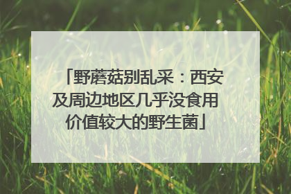 野蘑菇别乱采：西安及周边地区几乎没食用价值较大的野生菌