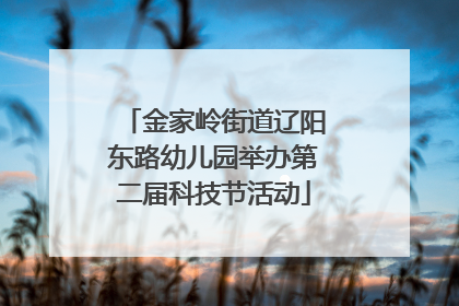 金家岭街道辽阳东路幼儿园举办第二届科技节活动