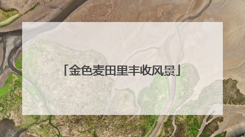 金色麦田里丰收风景