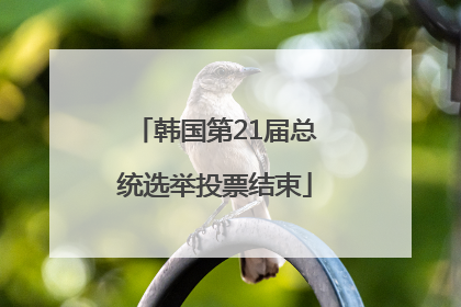 韩国第21届总统选举投票结束