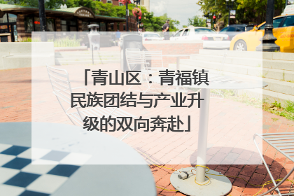 青山区：青福镇民族团结与产业升级的双向奔赴