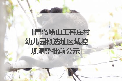 青岛崂山王哥庄村幼儿园拟选址区域控规调整批前公示