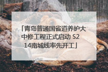 青岛普通国省道养护大中修工程正式启动 S214南城线率先开工