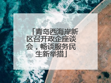 青岛西海岸新区召开政企座谈会，畅谈服务民生新举措