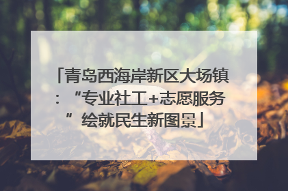 青岛西海岸新区大场镇：“专业社工+志愿服务”绘就民生新图景