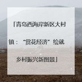 青岛西海岸新区大村镇：“赏花经济”绘就乡村振兴新图景