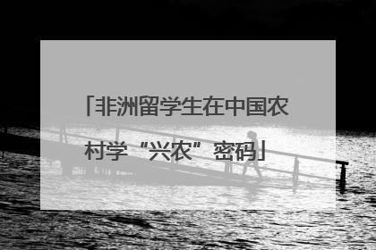 非洲留学生在中国农村学“兴农”密码