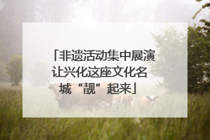 非遗活动集中展演 让兴化这座文化名城“靓”起来