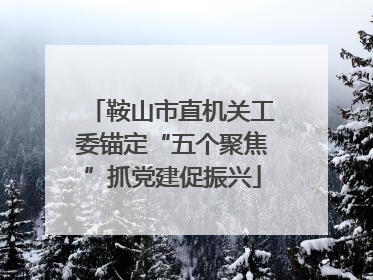 鞍山市直机关工委锚定“五个聚焦”抓党建促振兴