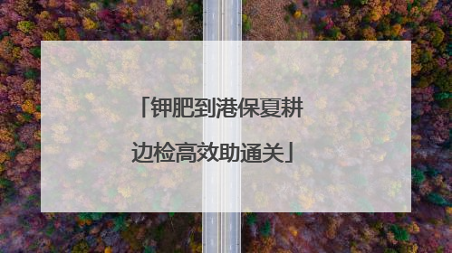 钾肥到港保夏耕 边检高效助通关