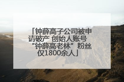 钟薛高子公司被申请破产 创始人账号“钟薛高老林”粉丝仅1800余人