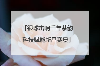 银球击响千年茶韵 科技赋能新昌赛景