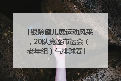 银龄健儿展运动风采，20队竞逐市运会（老年组）气排球赛