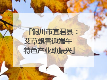 铜川市宜君县：艾草飘香迎端午 特色产业助振兴