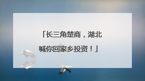 长三角楚商，湖北喊你回家乡投资！