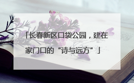 长春新区口袋公园，建在家门口的“诗与远方”