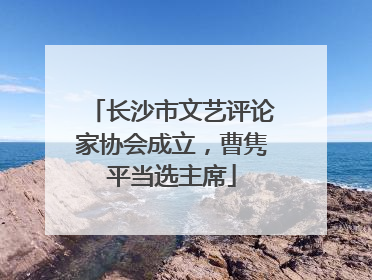 长沙市文艺评论家协会成立，曹隽平当选主席
