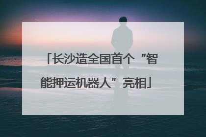 长沙造全国首个“智能押运机器人”亮相