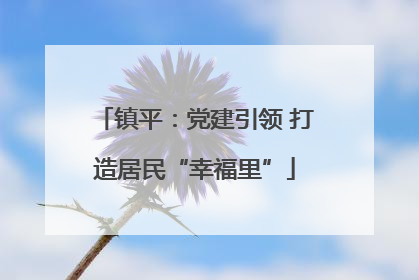 镇平：党建引领 打造居民“幸福里”
