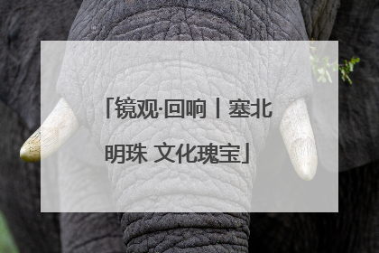 镜观·回响丨塞北明珠 文化瑰宝