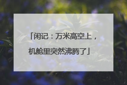 闲记：万米高空上，机舱里突然沸腾了