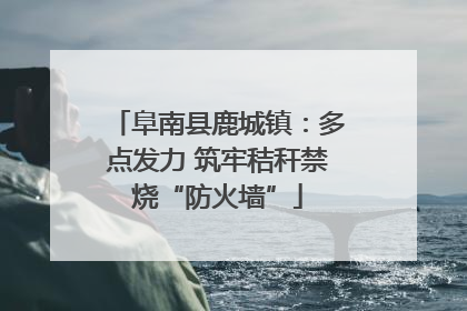 阜南县鹿城镇：多点发力 筑牢秸秆禁烧“防火墙”